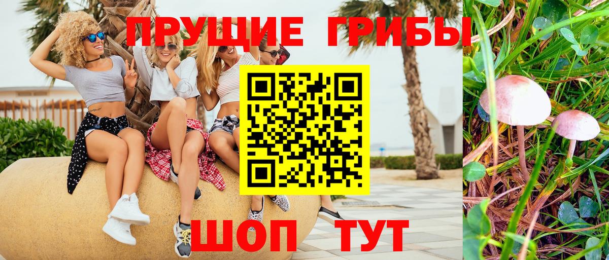 Галлюциногенные грибы ЛСД Ковров