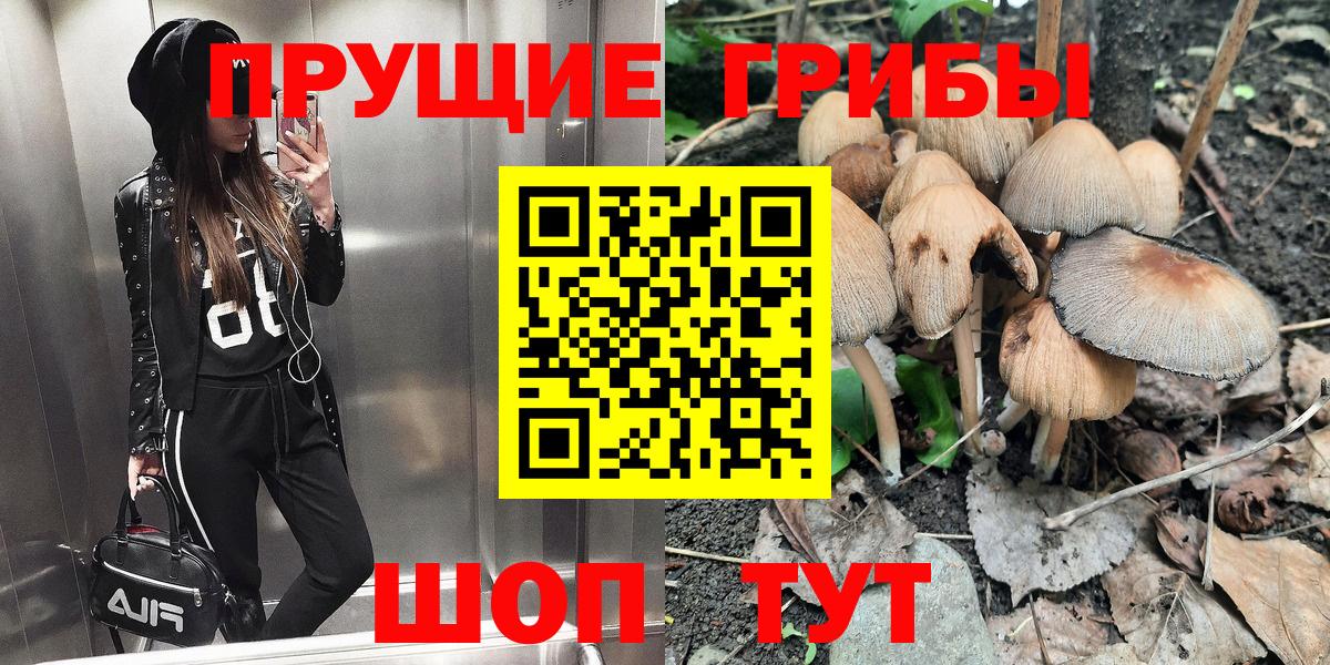 Ковров  купить наркотики сайты  Вход с VPN  Галлюциногенные грибы Psilocybine cubensis 